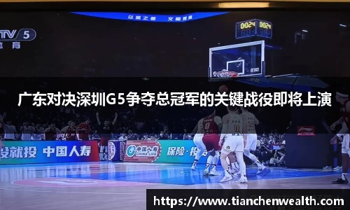 易游体育