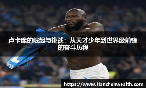 卢卡库的崛起与挑战：从天才少年到世界级前锋的奋斗历程